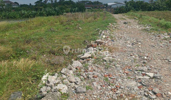 TANAH VIEW SAWAH CANTIK COCOK VILLA RENTAL DI KEROBOKAN  2