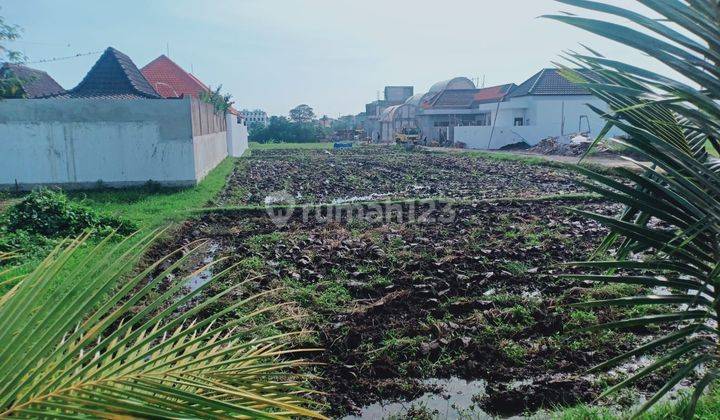 TANAH SEWA 400 METER DARI PANTAI SESEH COCOK KOMPLEK VILLA KEREN  1