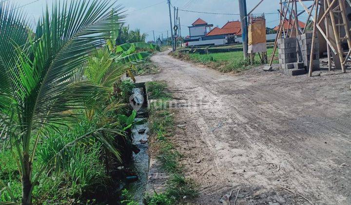 TANAH SEWA 400 METER DARI PANTAI SESEH COCOK KOMPLEK VILLA KEREN  2