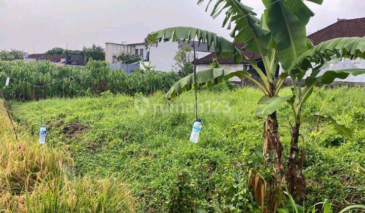 LAND FOR RENT STRATEGIC LOCATION NEAR CANGGU ROAD  1