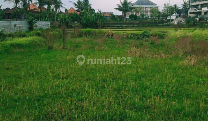 TANAH VIEW SAWAH DEKAT PANTAI PERERENAN CANGGU  1