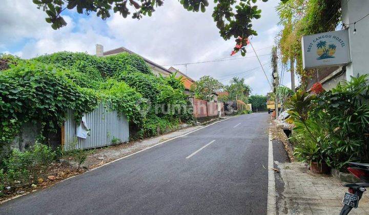 TANAH VIEW SAWAH PINGGIR JALAN ASPAL LINGKUNGAN VILLA MEWAH  1