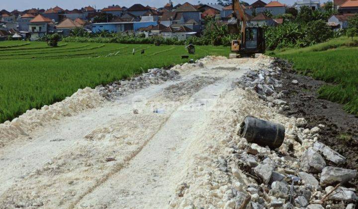 TANAH VIEW SAWAH CANTIK DI DAWAS PADONAN HARGANYA MURAH  2