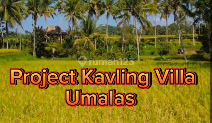 CHEAPEST RICE VIEW LAND IN BUMBAK UMALAS LUXURY VILLA ENVIRONMENT  1