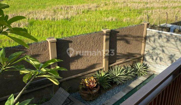 VILLA VIEW SAWAH HARGA MURAH DI CANGGU DEKAT PANTAI BATUBOLONG  1