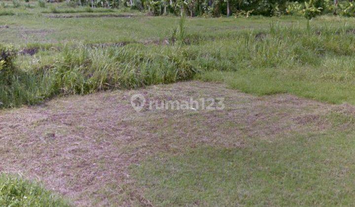 TANAH UKURAN KECIL VIEW SAWAH COCOK VILLA RENTALS 2