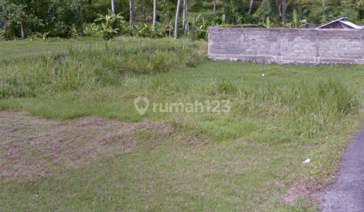 VILLA ENVIRONMENTAL LAND READY TO BUILD CHEAP PRICES 1