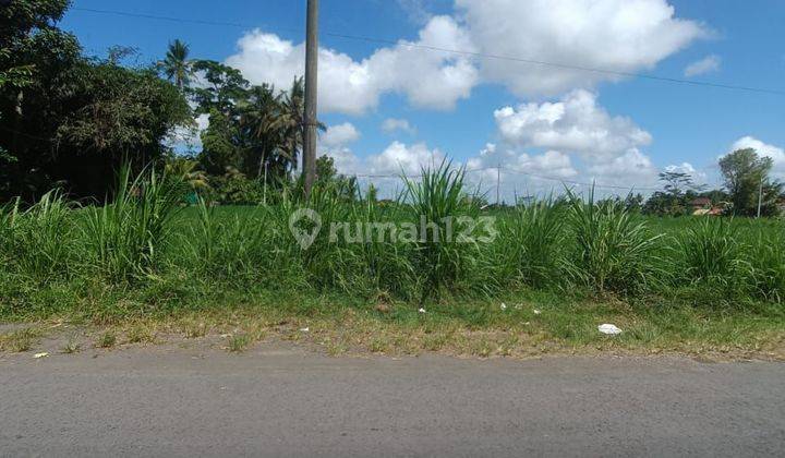 ROADSIDE LAND SUITABLE FOR ALL BUSINESSES WITH BEAUTIFUL VIEW 1