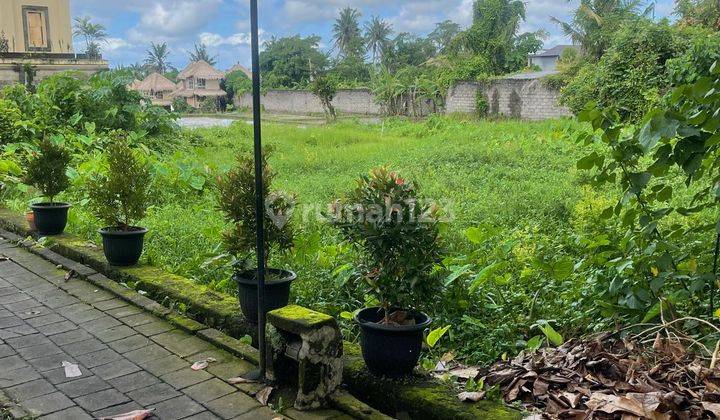 PREMIUM LAND FOR RENT CENTRAL UBUD SMALL SIZE 2