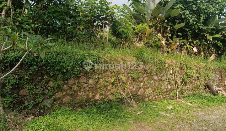 CHEAP LAND SUITABLE FOR VILLA RENTAL WITH BEAUTIFUL RICE VIEW VIEWS  2