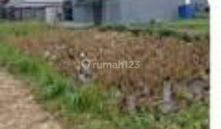 TANAH VIEW SAWAH HARGA MURAH DEKAT UBUD COCOK VILLA 1