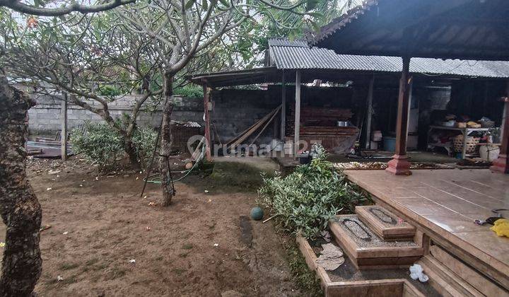 RUMAH VIEW SAWAH DAN LAUT COCOK JADI VILLA 2