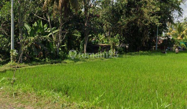 SUPER BEAUTIFUL VIEW LAND FOR RENT IN PEJENG KANGIN VILLA ENVIRONMENT 1