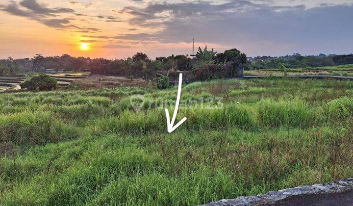 TANAH DEKAT PANTAI CEMAGI VIEW SAWAH COCOK VILLA RENTAL 1