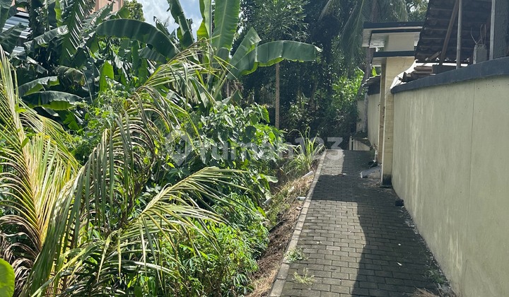 CHEAPEST LAND IN LODTUNDUH UBUD FOREST VIEW