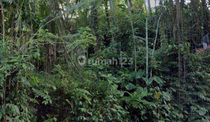 TANAH VIEW JUNGLE LINGKUNGAN VILLA MEWAH HARGA MURAH  1