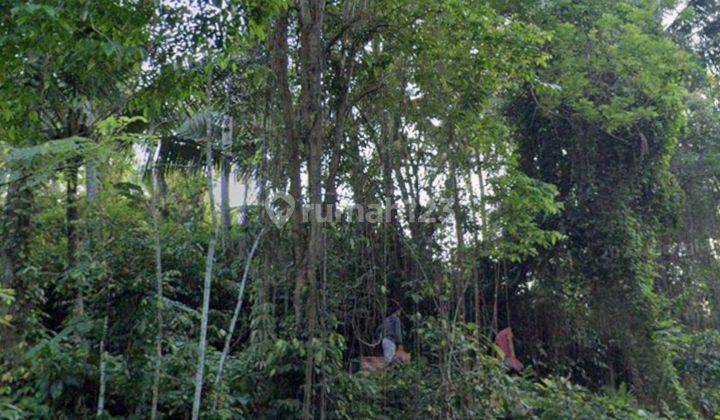 TANAH VIEW JUNGLE LINGKUNGAN VILLA MEWAH HARGA MURAH  2