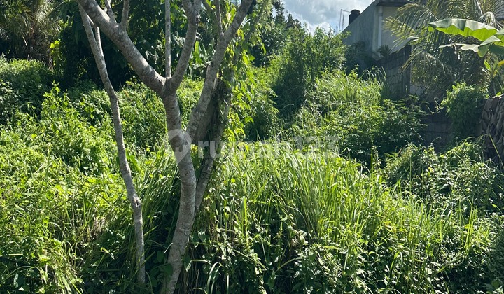 YELLOW ZONE LAND PAPASAN CAR ROAD CHEAP PRICE