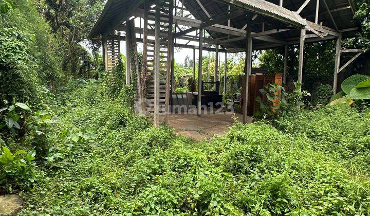 YELLOW ZONE LAND FOR RENT READY TO BUILD VILLA IN UBUD 2