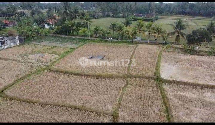 BEAUTIFUL VIEW LAND FOR SALE NEAR UBUD CENTER CHEAP PRICE  1