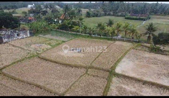 BEAUTIFUL VIEW LAND FOR SALE NEAR UBUD CENTER CHEAP PRICE  2