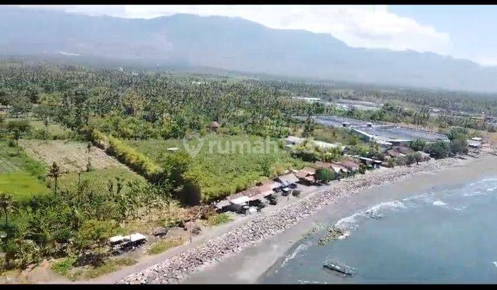 TANAH LOS PANTAI PATAS GEROGAK BULELENG HARGA MURAH  2