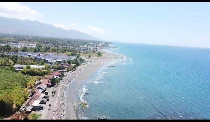 TANAH LOS PANTAI PATAS GEROGAK BULELENG HARGA MURAH  1