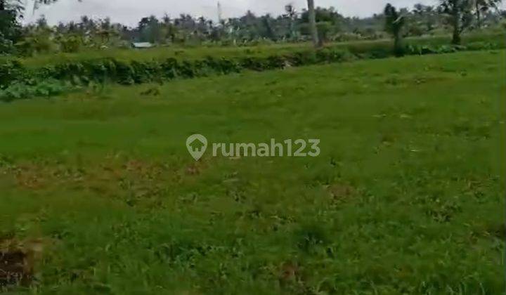 LAND FOR RENTAL COOL VIEW YELLOW ZONE CHEAP PRICE 1