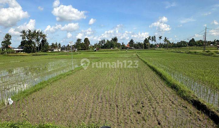 CHEAPEST COOL VIEW LAND IN UBUD VILLA NEIGHBORHOOD AREA 1