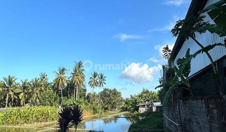 TANAH SEWA HARGA MURAH VIEW CANTIK DI UBUD  1