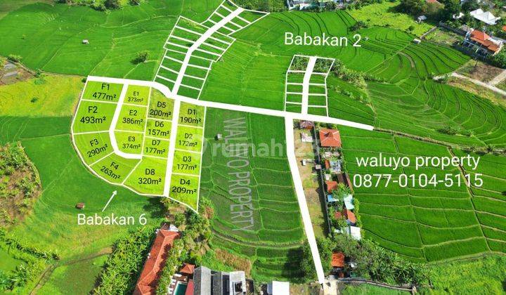 TANAH MURAH VIEW SAWAH CANTIK CANGGU AREA  1