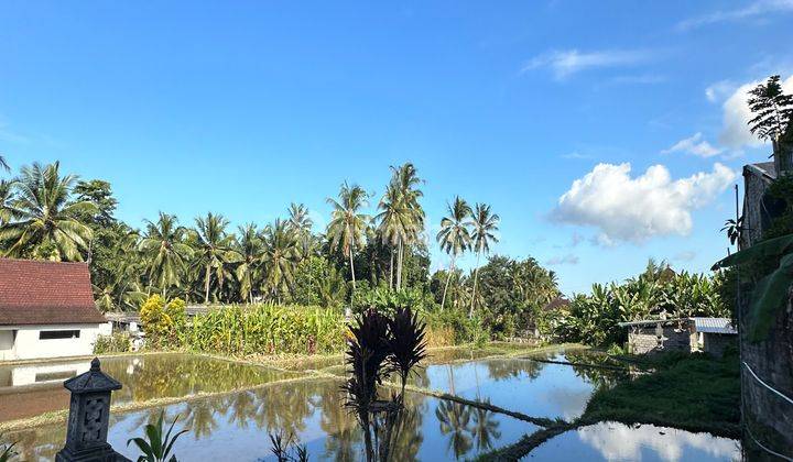 LAND FOR RENTAL IN GOOD LOCATION IN UBUD SUITABLE FOR VILLA RENTAL 1