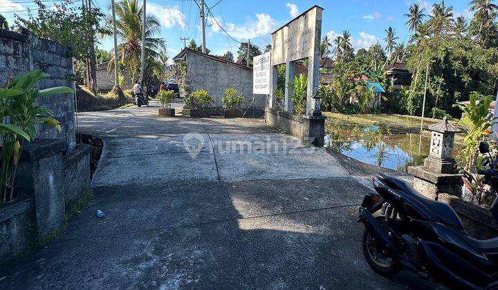 LAND FOR RENTAL IN GOOD LOCATION IN UBUD SUITABLE FOR VILLA RENTAL 2