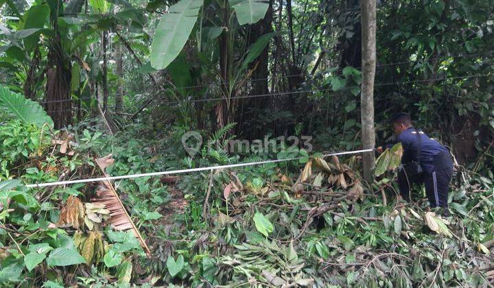 TANAH MURAH DEKAT PANTAI CANDI DASA COCOK VILLA 1