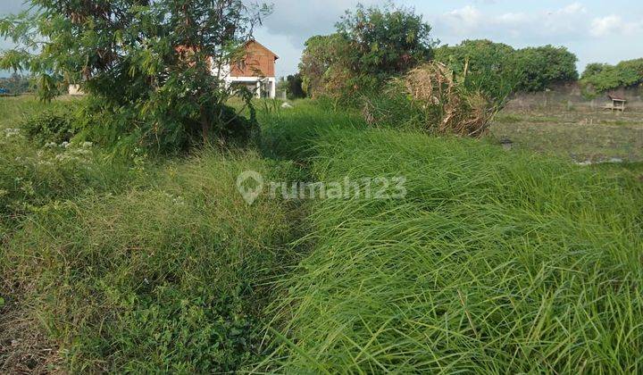 TANAH KAVLING VILLA MEWAH DI UBUD AREA HARGA MURAH  1