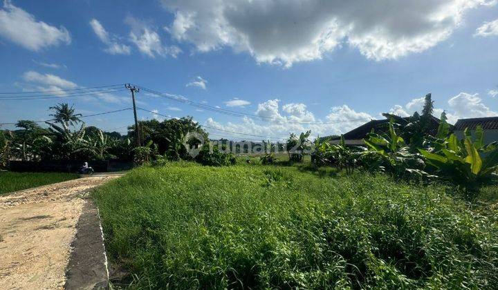 TANAH VIEW SAWAH CANTIK DEKAT PANTAI YEH GANGGA  1