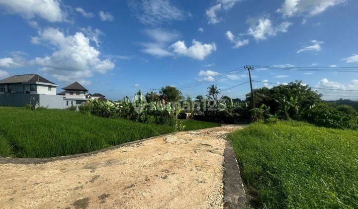 TANAH VIEW SAWAH CANTIK DEKAT PANTAI YEH GANGGA  2