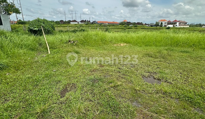 Tanah View Sawah Dekat Pantai Ketewel Siap Bangun Villa