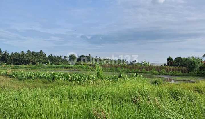 Land for Sale in Blahbatuh, Good, Near Kemenuh