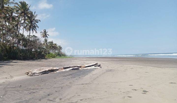 TANAH LOS PANTAI KEREN DAN KEBUN KELAPA HARGA MURAH 1