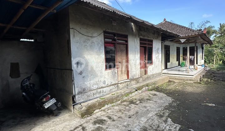 Rumah Pinggir Jalan Raya Super Murah Cocok Bisnis Guesthouse 2