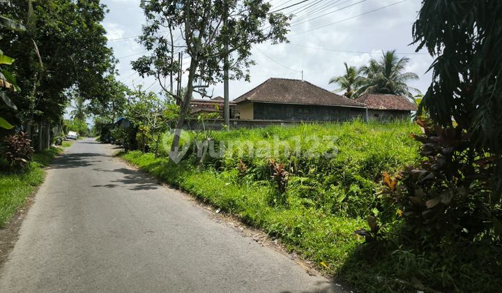 Land for Sale in Ubud Area, Very Special and Rare