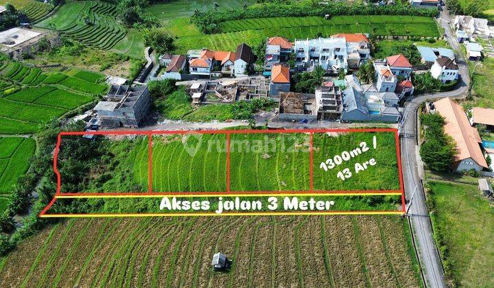 LAND FOR RENT NEAR BERAWA BEACH SUITABLE FOR VILLA COMPLEX 2