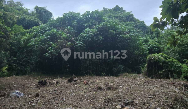 Tanah Di Batubulan View Sungai Hutan Cocok Villa 