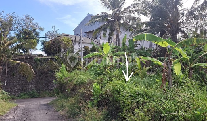 Tanah Cocok Villa Rental View Sawah Lokasi Bagus