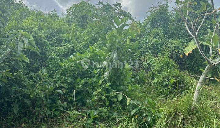 Tanah View Sawah Cocok Villa Atau Rumah Pribadi Harga Murah  2