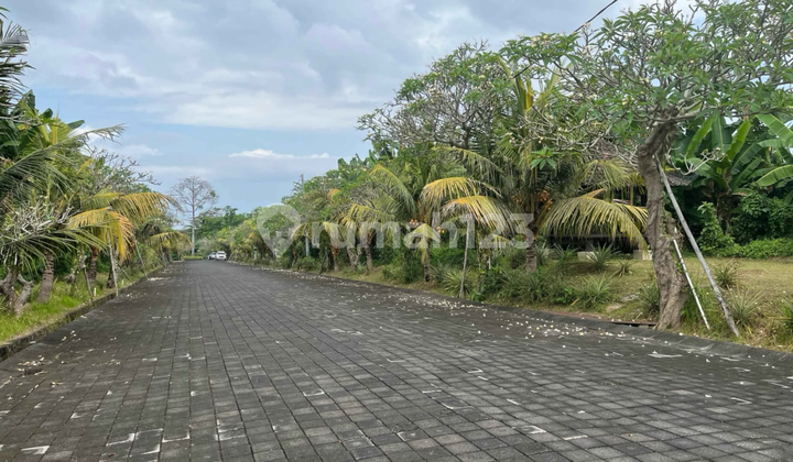 Cheap Land Near Siyut Beach Suitable for Private Homes