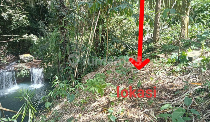 Tanah View Air Terjun Hutan Sawah Super Cantik 1