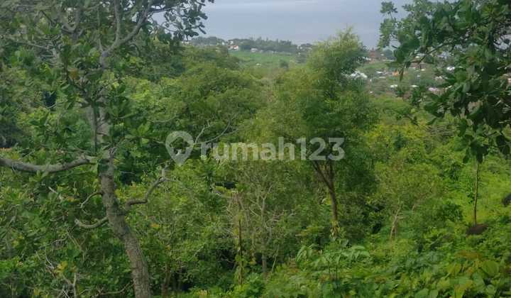 For Sale Strategic Land in Temukus Lovina Near Krishna Souvenirs For Sale Strategic Land in Temukus Lovina Near Krishna Souvenirs