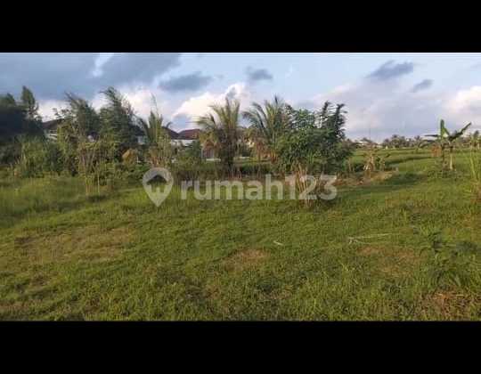 Special Sayan Ubud Land for Rent in Gianyar, Large Area